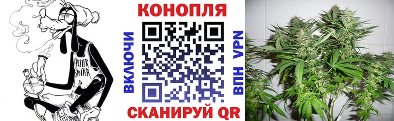 Каннабис THC 21%  Купить где  Новомичуринск 